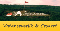 vatanseverlik