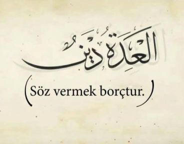 sor-vermek-borctur